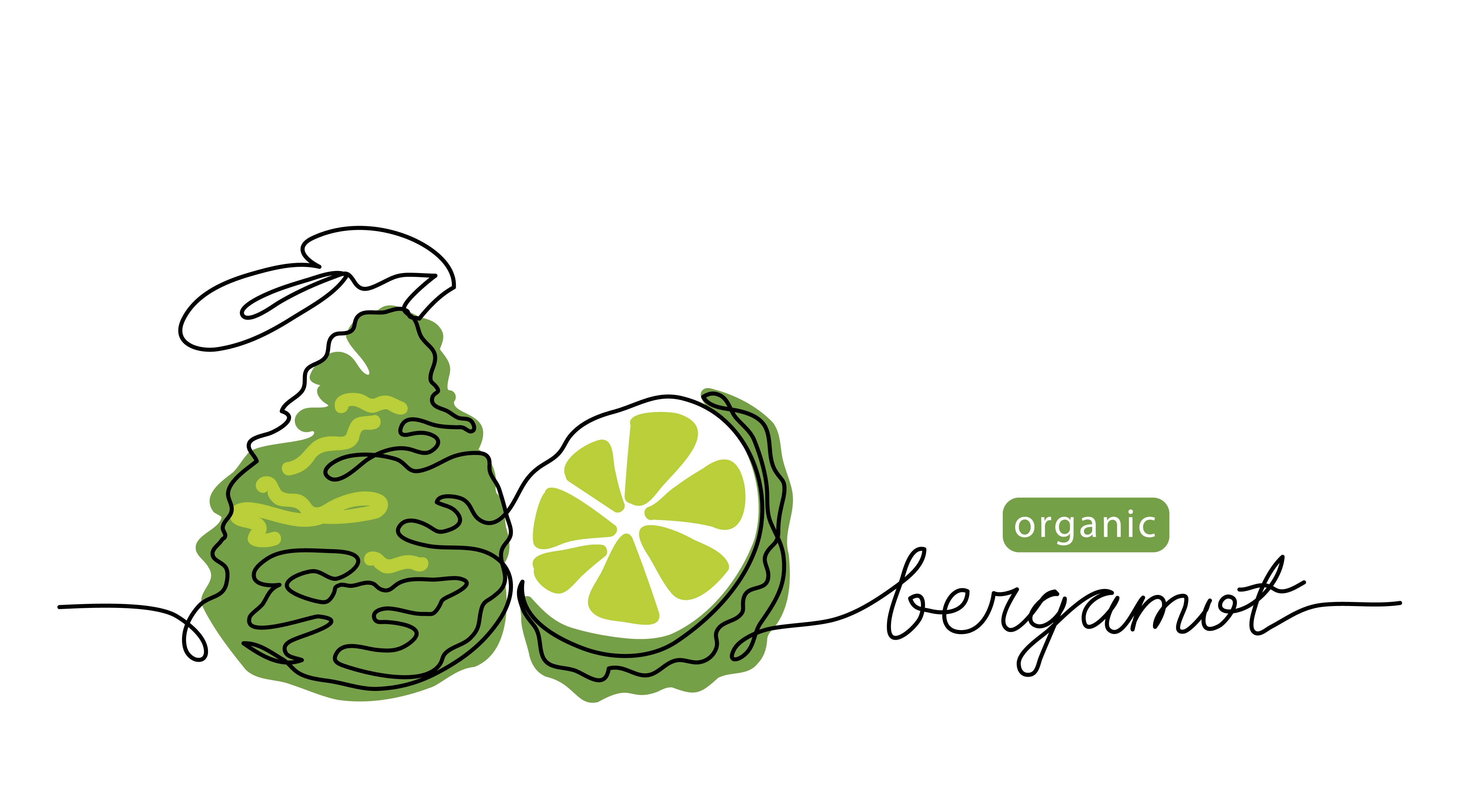 An illustration features two bergamot fruits, one whole and one sliced open to reveal a green segmented interior. Beside the fruits, the words "jean & andy Bergamot Balancing Face Lotion" are elegantly written in cursive.